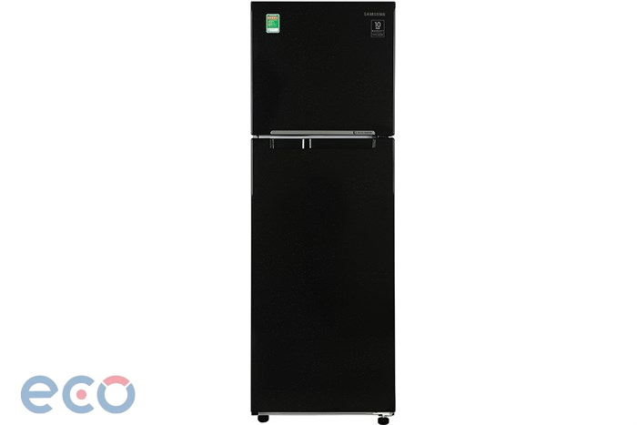 Tủ lạnh Samsung Inverter 256 lít RT25M4032BU/SV